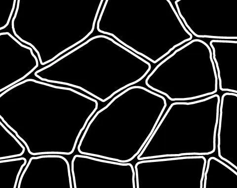 Bushrock concrete resurfacing stencil pattern