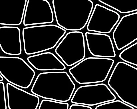 Flagstone concrete resurfacing stencil pattern
